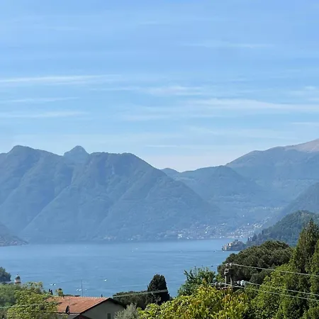 Viadeipini22 *