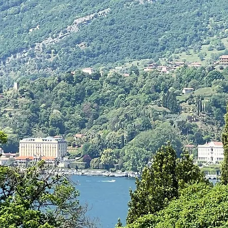 فيلة Viadeipini22 *